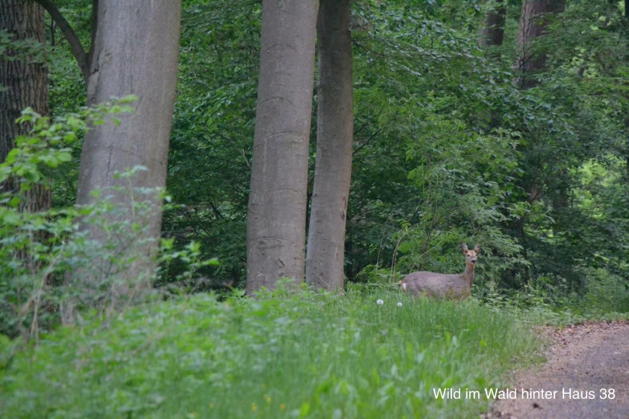Huis 38 Seepark Kirchheim Kirchheim  Luaran gambar
